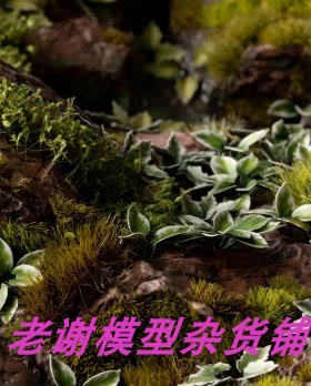 现货 Gamers Grass Plantain Lily 成品 草簇 植株 微缩 模型