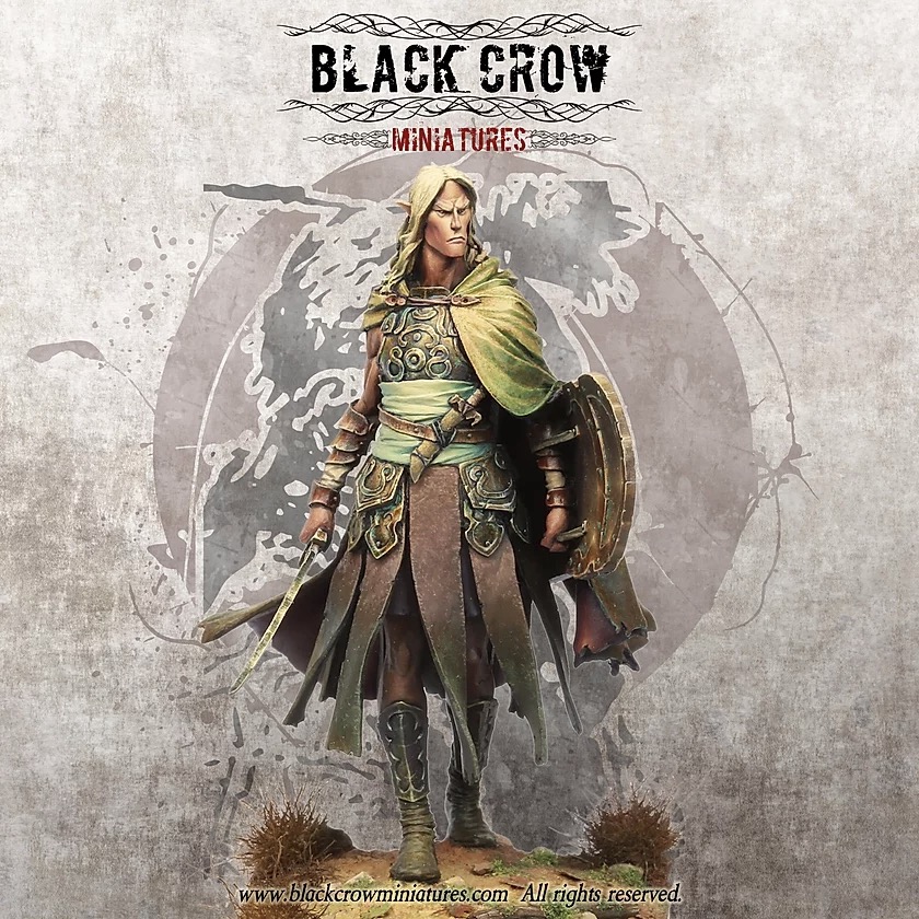 现货黑乌鸦微缩模型