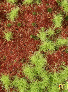 现货 Mininatur Overgrown forest floor spring 741-31S 1:45 草