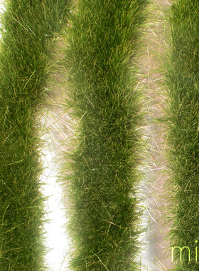 现货 Mininatur Grass strips early fall  728-33S 1:45, 1:32