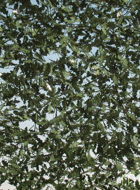 现货 Mininatur Oak leaves summer 980-32S 1:45, 1:32 草簇