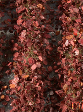 现货 Mininatur Agricultural strips leaves late fall 766-34S