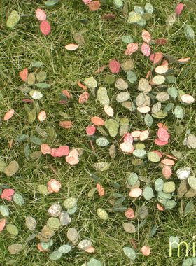 现货 Mininatur Pasture with weeds early fall  721-33S 1:45