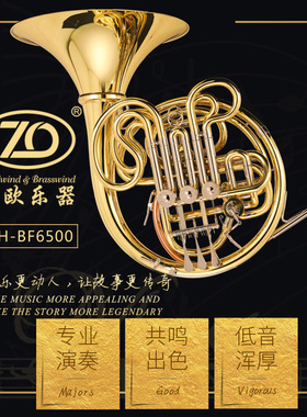 正欧铜管乐器圆号ZFH-BF6500型Bb/F调漆金专业级四键双排圆号