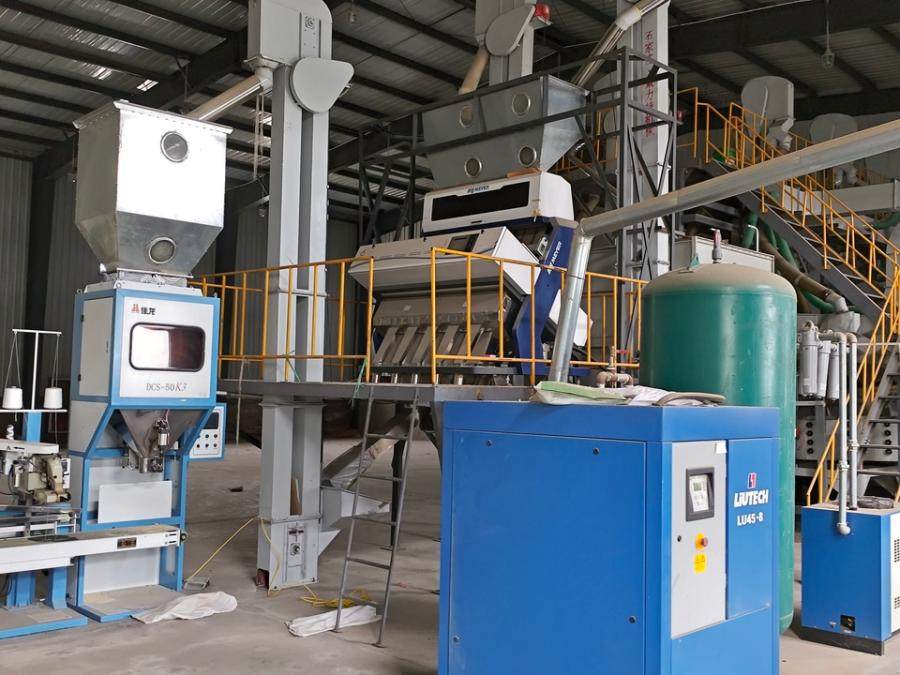 12月30日赤峰豆类加工设备一套网络拍卖公告