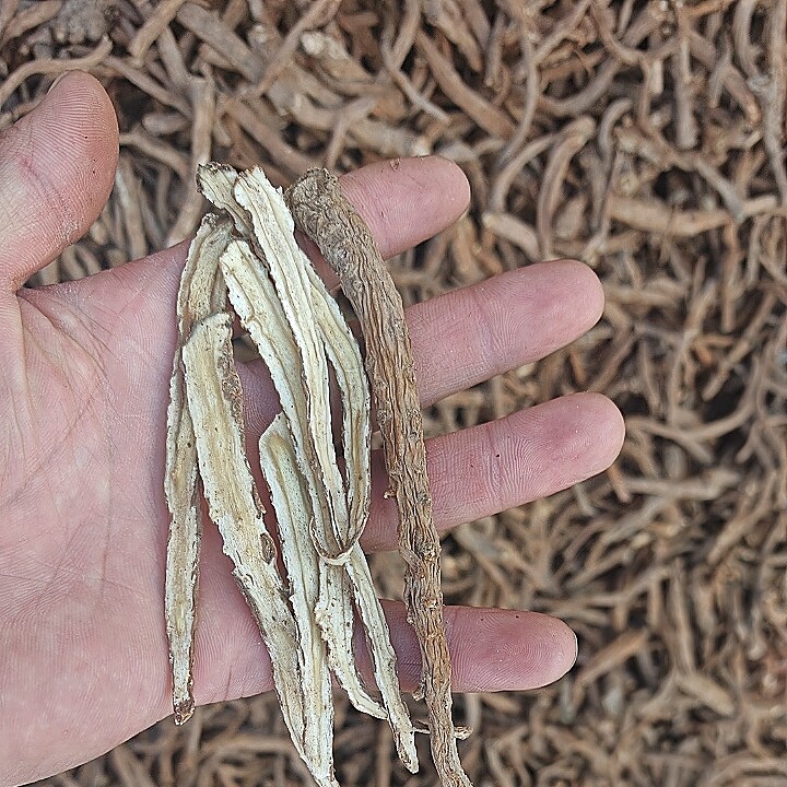 精品当归节子切片100g无熏硫无添加补气活血调经煲汤泡酒食补养生