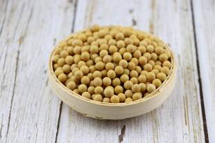 新款 新粮东北黑龙江黄豆打豆浆豆腐大豆芽豆花农家自产1斤