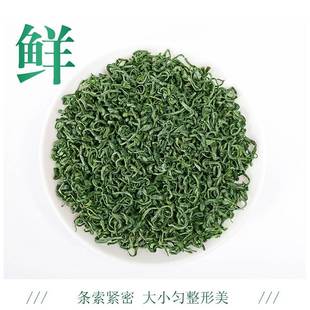高山绿茶芯 浓香型日照云雾雪青香茶 毛尖茶叶散装袋装500g