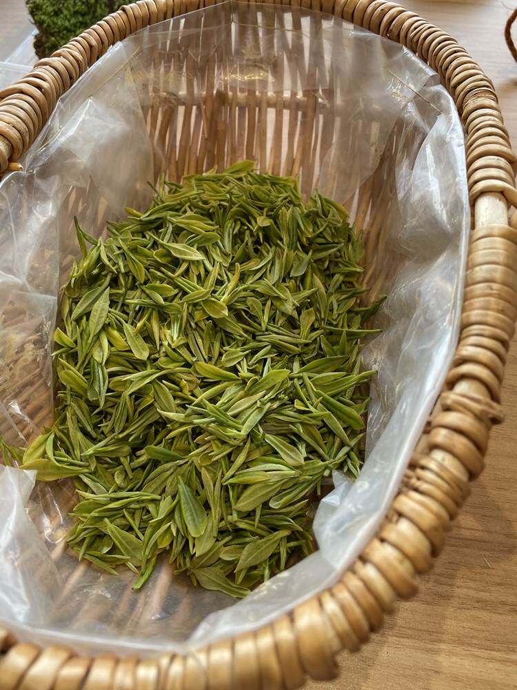 莫干黄芽新茶明前一级高山云雾绿茶叶200g散装特产礼盒春芽茶