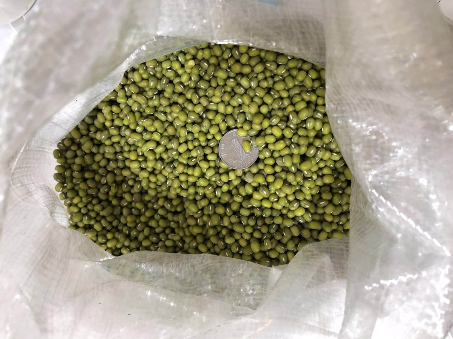 新款 新粮新鲜绿豆农家自产发豆芽明绿豆沙糕发煮汤散装包邮5斤2