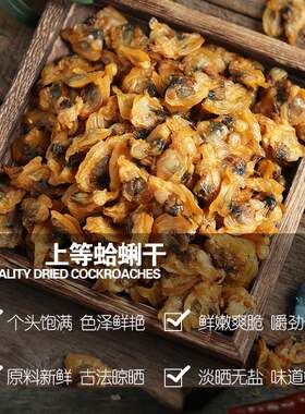 新款 温州特产蛤蜊干花蛤肉嘎啦哈利肉无沙黄蚬子蛤蜊肉文蛤贝壳