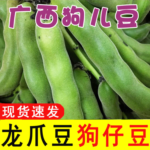 广西新鲜狗儿豆狗爪豆5斤农家特产现摘龙爪豆虎老豆狗毛豆猫猫豆