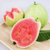 广西红心珍珠番石榴芭乐新鲜水果现摘5斤当季 脆甜底糖巴乐潘石榴