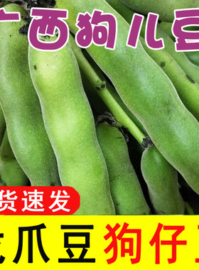 广西新鲜狗儿豆狗爪豆5斤农家特产现摘龙爪豆虎老豆狗毛豆猫猫豆