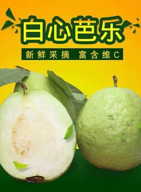 广西番石榴5斤包邮白芯珍珠芭乐农家果园现摘现发热带新鲜水果