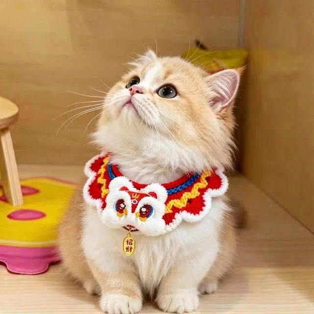 新年猫咪围脖口水巾宠物围巾小配饰小猫围兜过年装扮装饰钩织喜庆,宠物/宠物食品及用品,围巾/口水巾,淘宝优惠券,粉丝福利购,淘宝优惠卷
