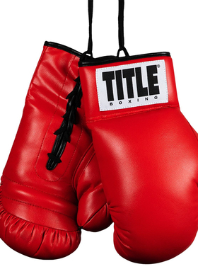 TITLE PROMO AUTOGRAPH BOXING GLOVES拳套手套拳馆办公室挂饰