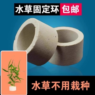 鱼缸水草沉底盆杯定植环篮底座固定神器花盆火山石滤材陶瓷环神器