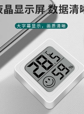 宠物小宠电子温度计湿度计车载幼宠兔子龙猫豚鼠刺猬花枝熊温度计