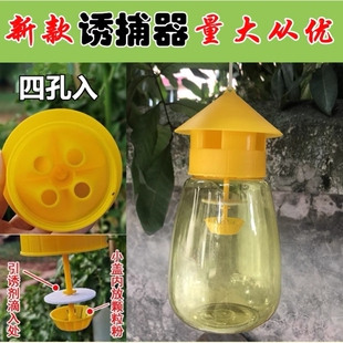 针蜂诱蜂瓶果蝇引诱剂针蜂桔小蝇诱捕剂瓜果实蝇诱捕器引诱剂粘虫