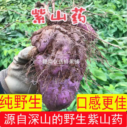 古天根赣南紫山药紫淮山铁棍山药