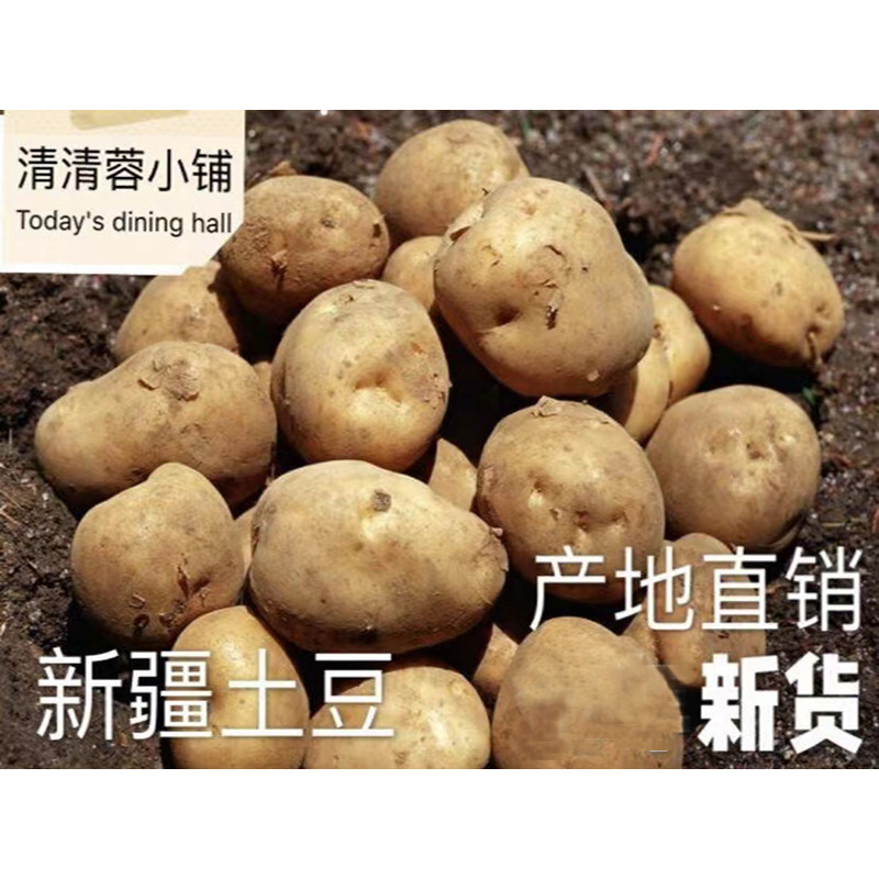 新疆土豆洋芋新鲜马铃薯条农家蔬菜黄皮黄心土豆沙粉面大盘鸡洋芋