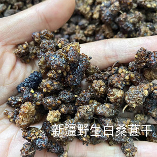 新疆野生白桑葚干500g散装 非黑桑葚泡茶泡酒泡水原味自然风干桑葚