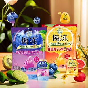 溜溜梅天然NFC梅冻160g蓝莓奇异果蜂蜜柚子梅冻果冻休闲解馋零食