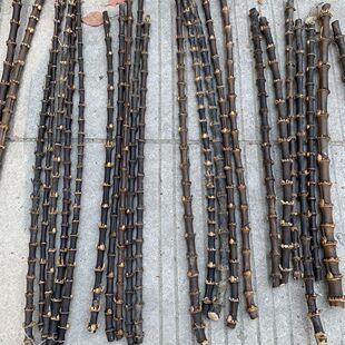 紫黑竹鞭实心紫竹根烟斗DIY耗材竹节烟斗柄原材料紫竹鞭手串竹编