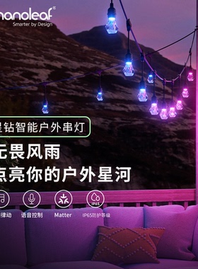 nanoleaf智能户外庭院灯泡串灯rgb彩光防水拾音露营帐篷led氛围灯