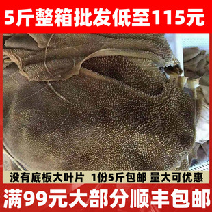 毛肚大叶片新鲜2500g牛肚牛百叶重庆火锅食材毛肚片千层肚包邮