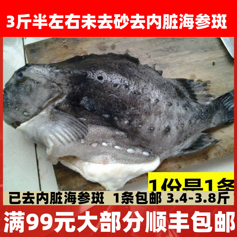 冷冻海鲜鱼类 北极海参斑 斑鱼 新鲜海鱼 美容佳品3.5斤左右 包邮