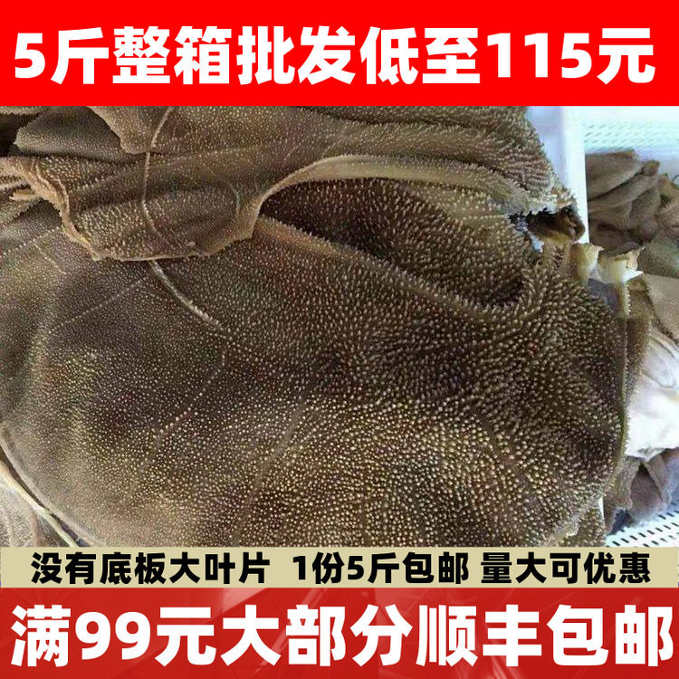 毛肚大叶片新鲜2500g牛肚牛百叶重庆火锅食材毛肚片千层肚包邮