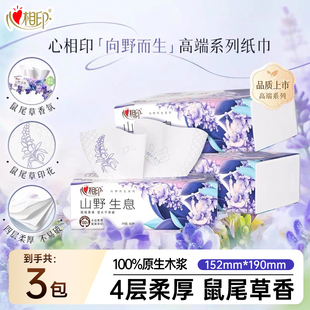 心相印向野而生鼠尾草香印花家用M码4层80巾餐巾纸抽纸巾