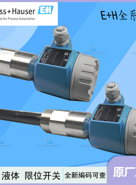Endress+Hauser德国E+H全新原装电容式限位检测FTI55可检测固体