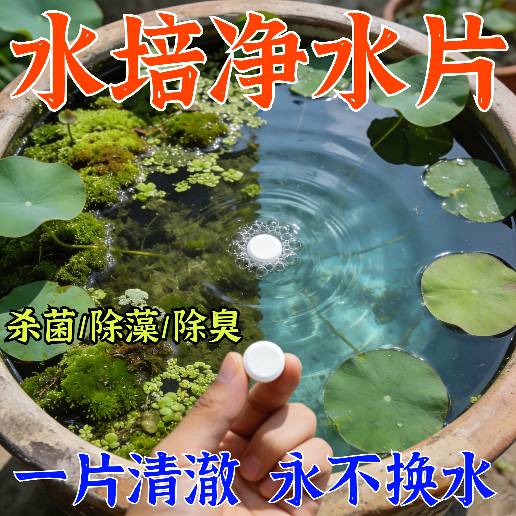 德国水培植物净水片除臭杀菌消毒鲜花花干保鲜剂除藻专用净化水质,鲜花速递/花卉仿真/绿植园艺,家庭园艺肥料,淘宝优惠券,粉丝福利购,淘宝优惠卷