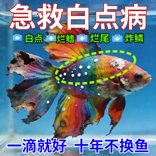 鱼舒康鱼康宝家用观赏鱼用消毒净水片剂亚甲基蓝鱼缸杀菌