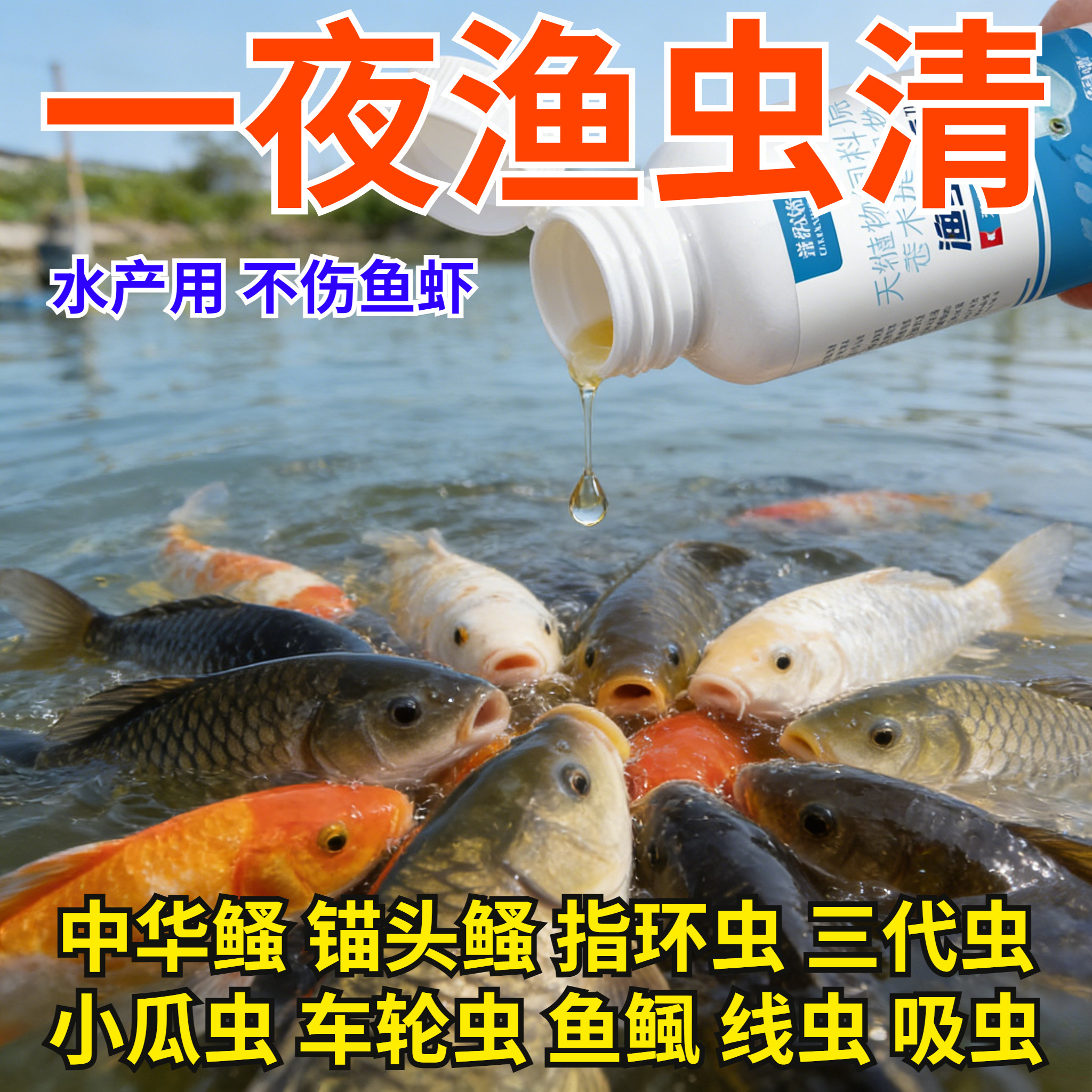 水族鱼虫清鱼缸用鱼虫清观赏鱼驱虫观赏鱼内外驱虫白点寄生虫,宠物/宠物食品及用品,其他益生菌,淘宝优惠券,粉丝福利购,淘宝优惠卷