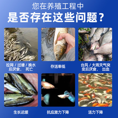水族VC泡腾片缓解应激提升活力鱼用VC片鱼缸池塘水族箱专用泡腾片