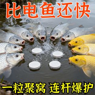 打窝增氧片水产增氧颗粒增氧片鱼池塘野钓增氧片垂钓鱼长效增氧剂