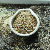 虎皮牡丹玄凤中小型鹦鹉文鸟食鸟粮豪华型混合饲料 500g