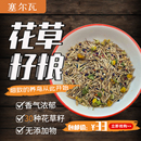 塞尔瓦鹦鹉花草籽粮文鸟谷物杂食鸟粮营养补充饲料零食30种花草子