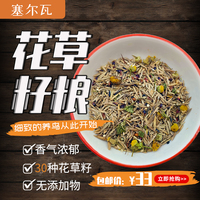 塞爾瓦花草零食花草籽鳥糧250克