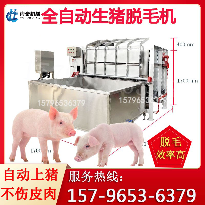 全自动猪脱毛机器去猪毛整猪脱毛母猪肥猪拔毛机器屠宰场猪刮毛机