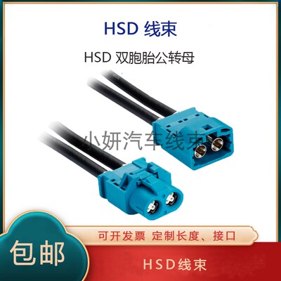 HSD双腔LVDS4芯视频线连接线