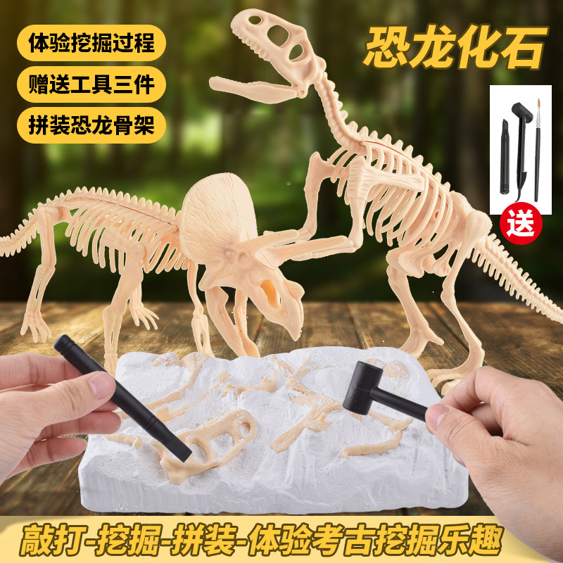 考古化石DIY挖掘玩具拼装图片