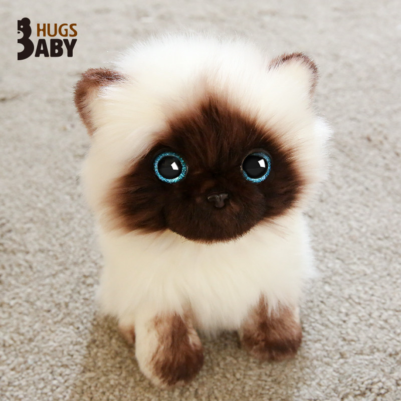 正版抱抱宝贝仿真公仔韩版小猫咪