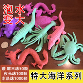 水晶珠方块水宝宝泡大珠海绵宝宝吸水珠海洋宝宝无毒霸王珠玩具