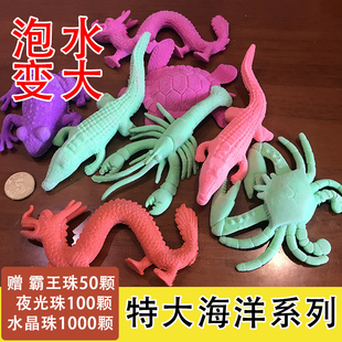 水晶珠方块水宝宝泡大珠海绵宝宝吸水珠海洋宝宝无毒霸王珠玩具