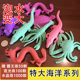水晶珠方块水宝宝泡大珠海绵宝宝吸水珠海洋宝宝无毒霸王珠玩具